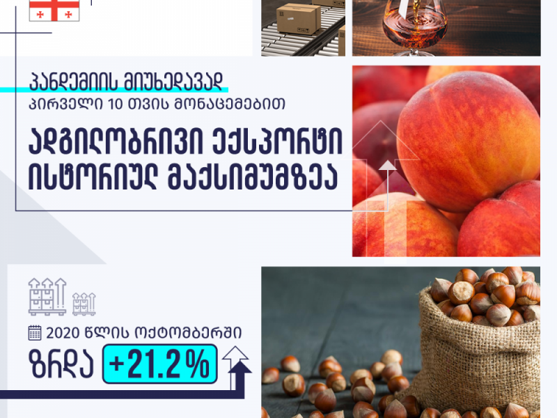 კორონავირუსის პანდემიის და გლობალური ეკონომიკური კრიზისის მიუხედავად, საქართველოს...